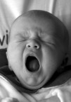 Che sonno! Che sonno!