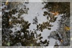l'autunno l'autunno