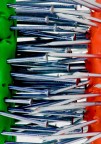 viva l'italia viva l'italia