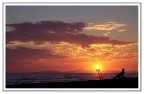 Fishing Sunset Fishing Sunset
