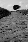 Strada d'altri tempi Strada d'altri tempi