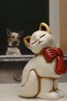 cane e gatto cane e gatto