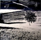 foto digitale di stampa analogica! :-)f