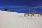 paesaggio...dune di Porto Pino paesaggio...dune di Porto Pino