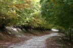 colori d'autunno colori d'autunno