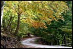colori d'autunno 2 colori d'autunno 2