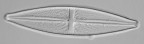 Micromondo 21 Micromondo 21