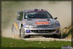 rally 7 comuni terra! Grossi rally 7 comuni terra! Grossi