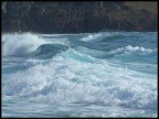 :: Sea Power :: :: Sea Power ::