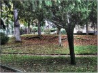 Parco d'autunno