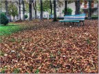 Parco autunnale