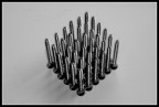 screw screw