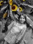 GIRASOLI GIRASOLI