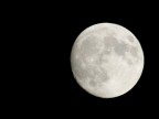 Ieri sera ho provato a fare un p� di foto alla luna, questo � quello che sono riuscito a tirare fuori. Syavo con il CANON EF 75-300mm f/4-5,6 III.

Commenti e suggerimenti.