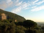 Panorama 7900 Panorama 7900