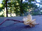 Fragile...atto secondo Fragile...atto secondo