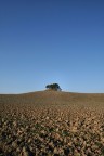 Il Miraggio Il Miraggio