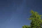Stars Stars