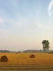 Campagna d'autunno... Campagna d'autunno...
