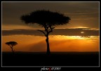 kenya 05 kenya 05