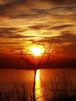 Esile sostegno Esile sostegno