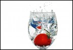 splash splash