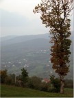 Colori autunnali Colori autunnali