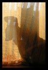 ombre cinesi 2 ombre cinesi 2