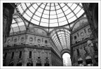 La mia Milano La mia Milano