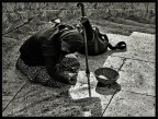 pietà pietà
