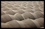 Passeggiata nel deserto Passeggiata nel deserto