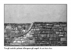Gli angeli albergano tra gli antichi palazzi Gli angeli albergano tra gli antichi palazzi