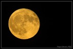 luna piena.. luna piena..