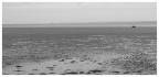 Costa bretone o Luna? Costa bretone o Luna?