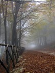 Monte Cucco Monte Cucco