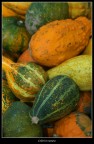 i colori della natura i colori della natura