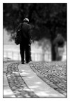 ::: SOLO ::: ::: SOLO :::