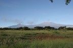 Kenia - Kilimangiaro Kenia - Kilimangiaro