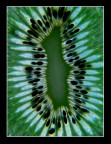 kiwi kiwi