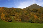 Autumn Autumn