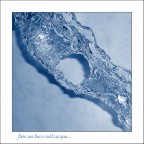 fare un buco nell'acqua