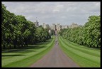 Windsor Windsor