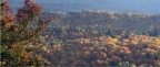 I colori dell'autunno I colori dell'autunno
