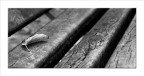 Autunno...in panchina Autunno...in panchina