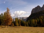 I colori Autunnali I colori Autunnali