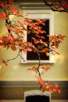 Autunno Autunno