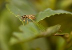Macro 2^ Macro 2^