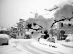 neve neve