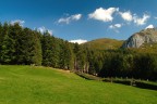 Garfagnana - Parco Dell' Orecchiella -