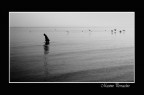 Il pescatore Il pescatore